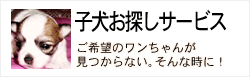 子犬探しサービス